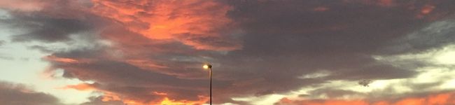 yatchin's header image