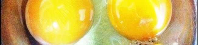 zvnj's header image