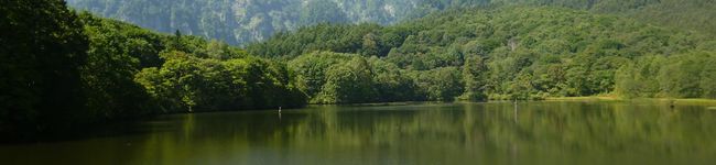 you-me's header image