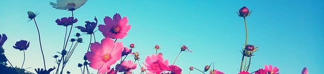 nancy164's header image