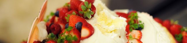 ｆｒａｎｃｉｐｐｙ's header image