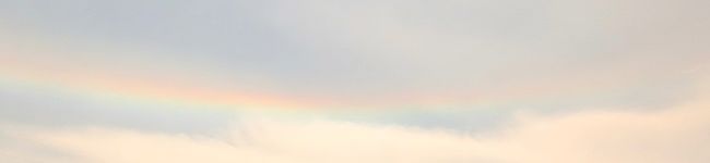 ホ•オポノポノ's header image
