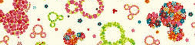 ＊しょこらevol＊'s header image