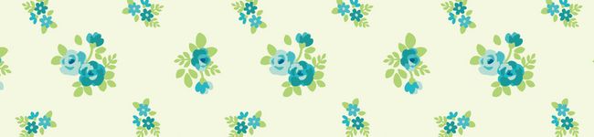 cinderella's header image
