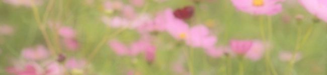 tamtam10's header image