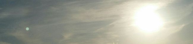 もくまむ's header image