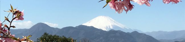 米の華's header image
