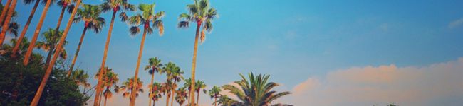 ay94's header image