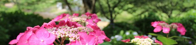 スーパーあろあ's header image