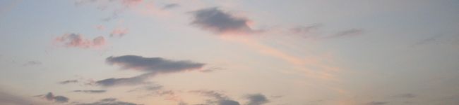 マダムこぶこぶ's header image