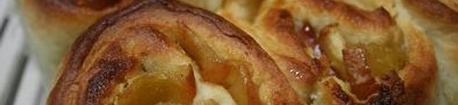 Macula's header image