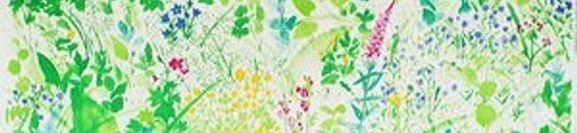 midori1583's header image
