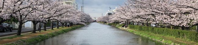 hinaco♪'s header image