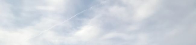 めぐまろろ's header image