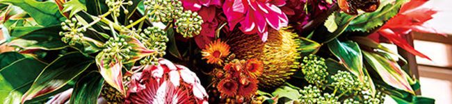 bitan's header image