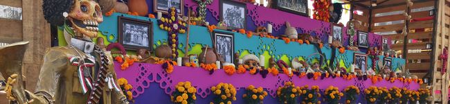 flowerguru's header image