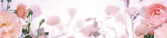 ぽんこdesu's header image