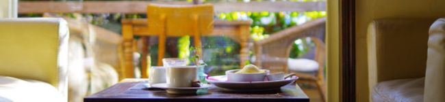 Lira1224's header image