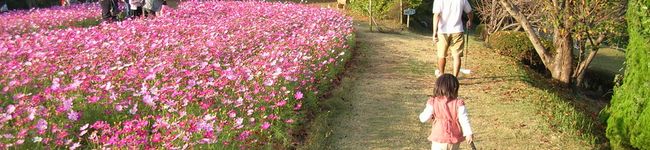 すぶた０１１３'s header image