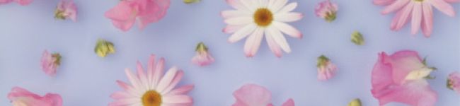 ☆ひぐま☆'s header image