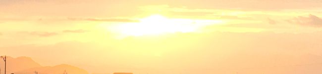 ここあの母's header image