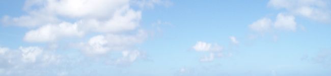 たそがれぱんだ's header image