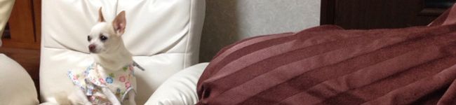 調理の卵's header image
