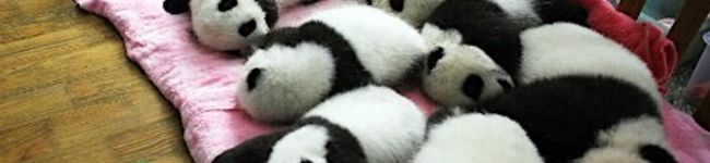 pasoken's header image