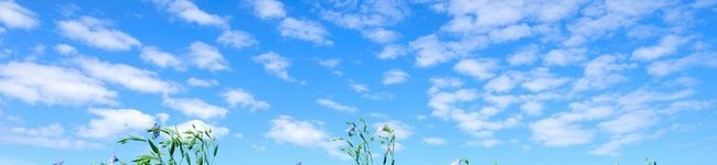 オレンジロディ's header image