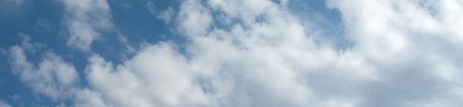 くぅちゃん2006's header image