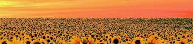 パド★'s header image