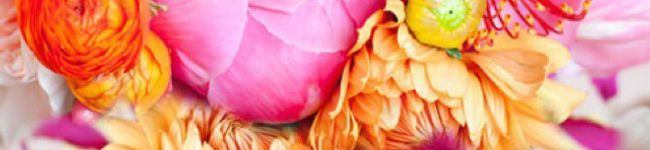 mezuchin's header image