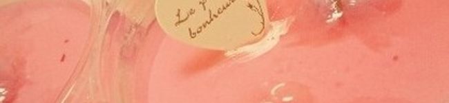 ♡Mio＠K♡'s header image