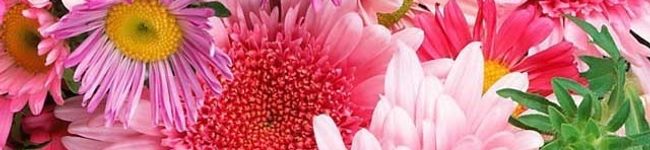 ATHC121's header image