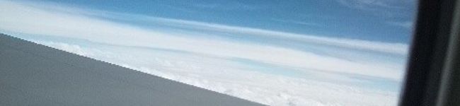 sky_birds's header image