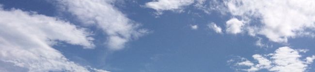 adioseas's header image