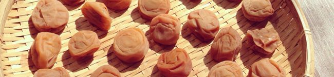 pulausaya's header image