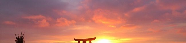 ぴっぴ、's header image