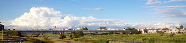 さといもタロー's header image