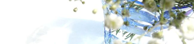 キロッチ's header image