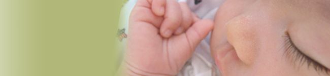 BIRD★S's header image