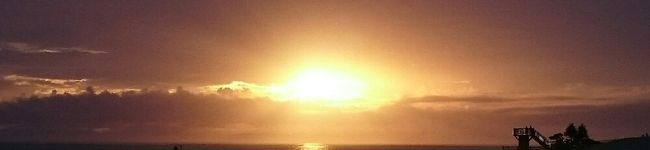 Saoriny's header image