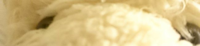 AYUMII1124's header image