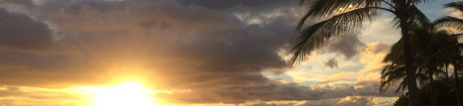 サエさる's header image
