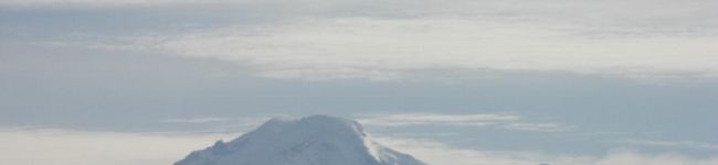 ピルチャード's header image