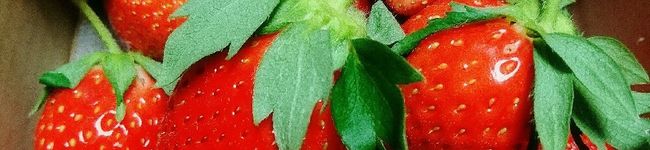 mitzi69's header image
