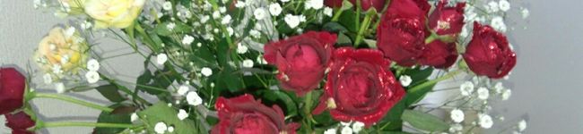 ❤Macksマロン❤'s header image