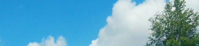 ＊小路＊'s header image