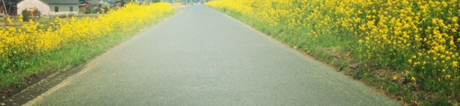 にゃーご☆彡's header image