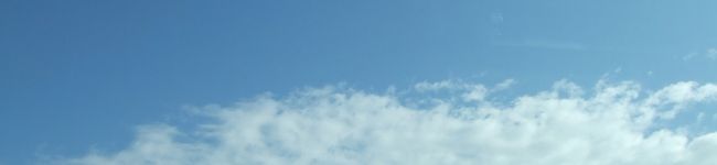 みいぼん's header image